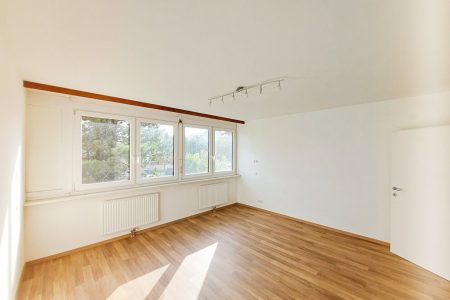 Wohnung-immodealer-fotos