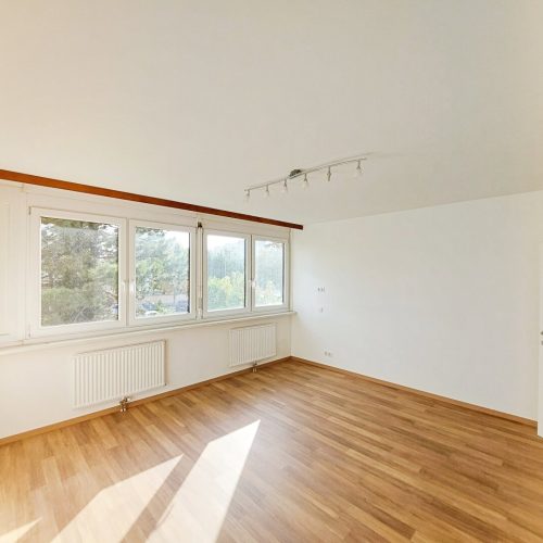 Wohnung-immodealer-fotos