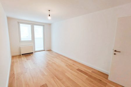 Wohnung-immodealer-fotos